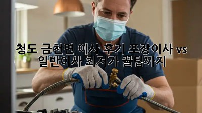 청도 금천면 이사 후기: 포장이사 vs 일반이사, 최저가 꿀팁까지! 🚛🏡