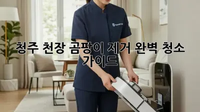 청주 천장 곰팡이 제거, 완벽 청소 가이드